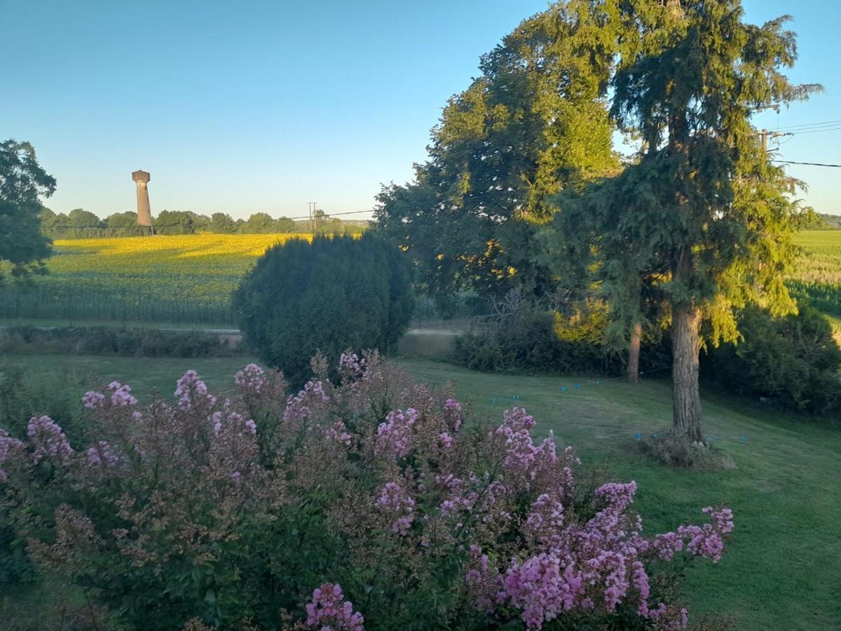 Chateau Ardilleux Exteriér fotografie